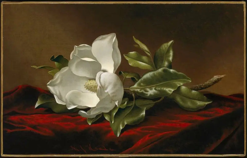マグノリア・グランディフローラ - マーティン・ジョンソン・ヒード

Source:
Magnolia grandiflora - Martin Johnson Heade