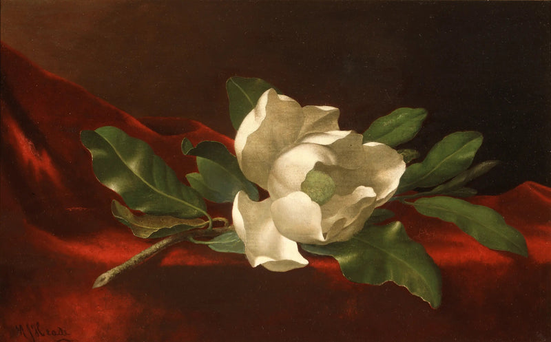 マグノリア - マーティン・ジョンソン・ヒード

Source:
Magnolia - Martin Johnson Heade