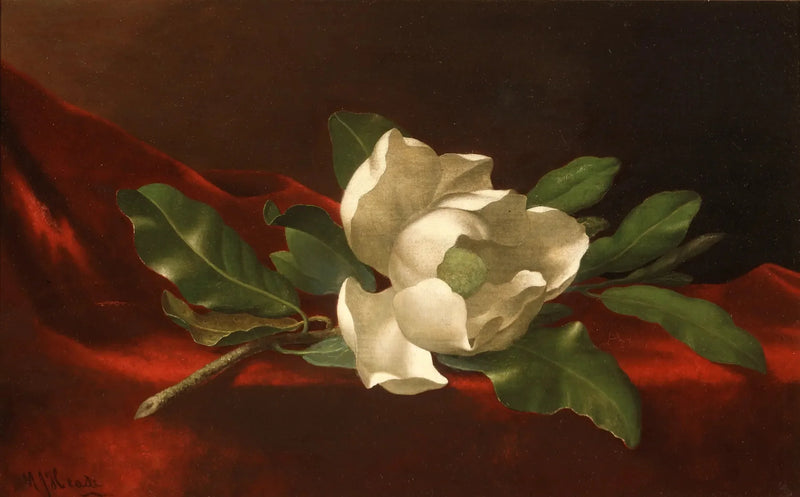 マグノリア - マーティン・ジョンソン・ヒード

Source:
Magnolia - Martin Johnson Heade