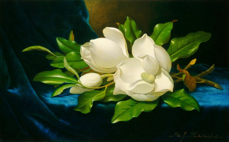 青いベルベットに巨大な牡丹 - マーティン・ジョンソン・ヒード

Source:
Magnolias géants sur velours bleu - Martin Johnson Heade