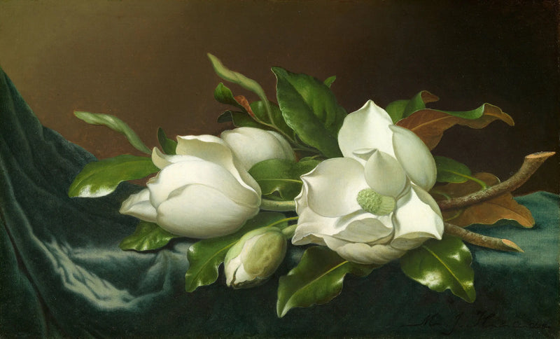 淡い青色ベルベット生地に咲く木蓮 - マーティン・ジョンソン・ヒード

Source:
Magnolias sur tissu de velours bleu clair - Martin Johnson Heade
