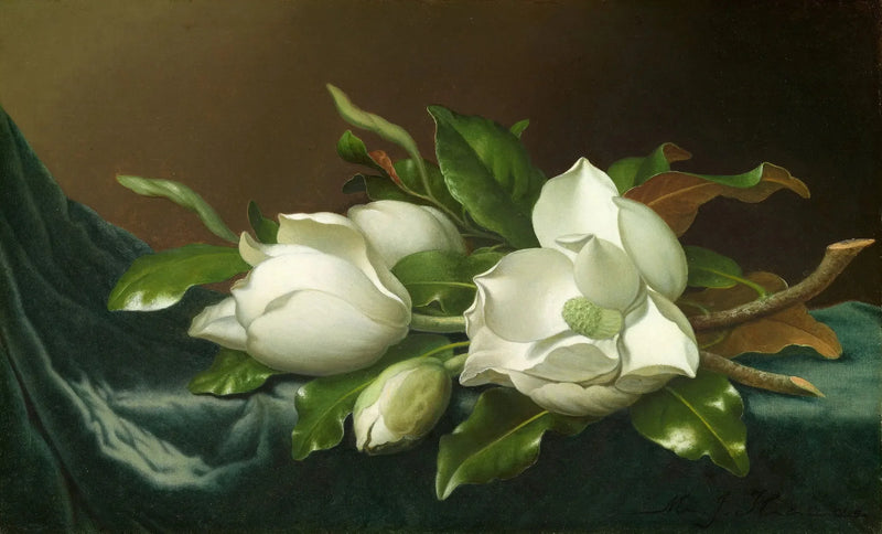 淡い青色ベルベット生地に咲く木蓮 - マーティン・ジョンソン・ヒード

Source:
Magnolias sur tissu de velours bleu clair - Martin Johnson Heade