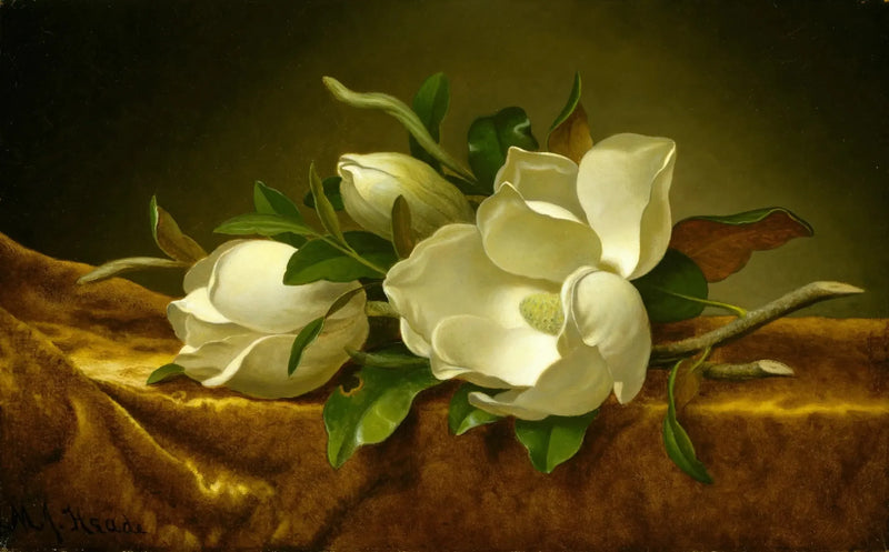 金色天鵞絨布に描かれた牡丹の花 - マーティン・ジョンソン・ヒード

Source:
Magnolias sur tissu de velours doré - Martin Johnson Heade