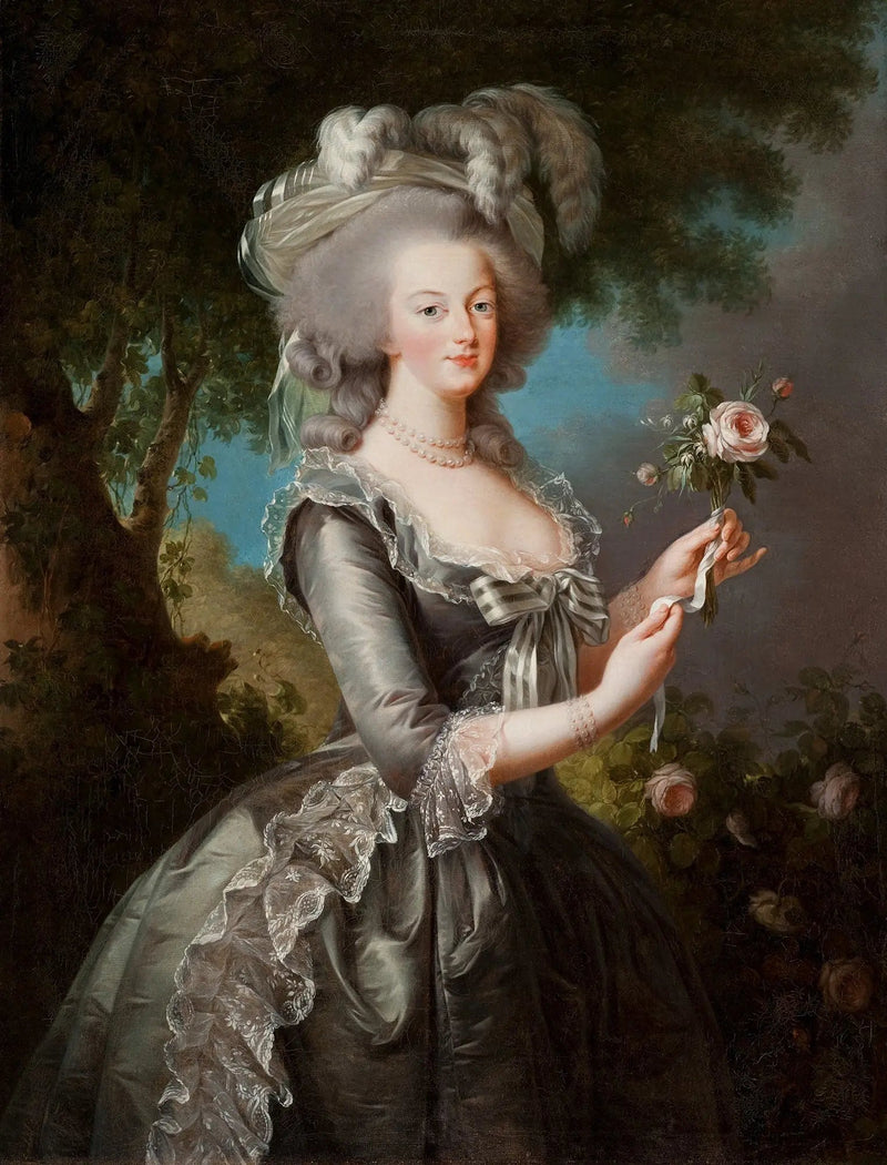 マリー・アントワネット「ローズ」と呼ばれる - エリザベス・ヴィジェ・ル・ブラン

Source:
Marie-Antoinette dite « à la Rose » - Élisabeth Vigée Le Brun