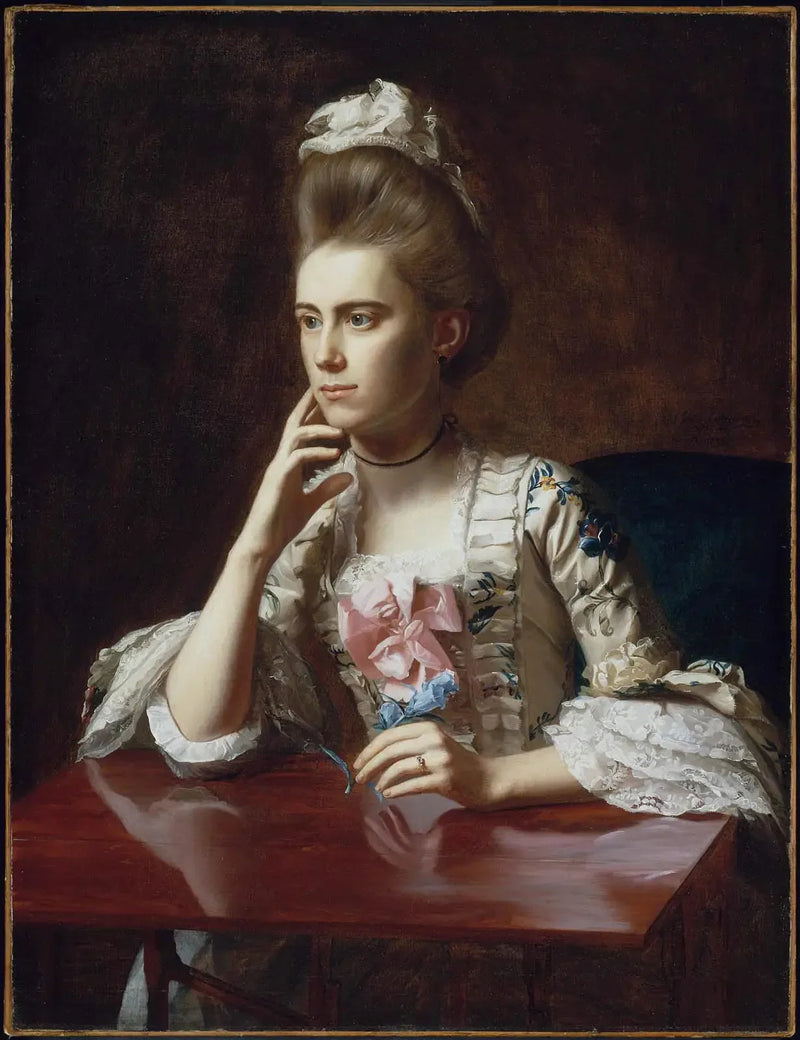 リシャール・スキナー夫人（ドロシー・ウェンデル） - ジョン・シングルトン・コープリー

Source:
Mme Richard Skinner (Dorothy Wendell) - John Singleton Copley