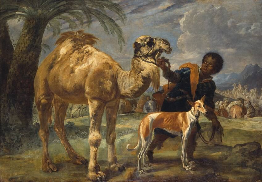 Mohr mit Windhund und Dromedar - Giovanni Benedetto Castiglione image 1 copie peinte à la main à l’huile