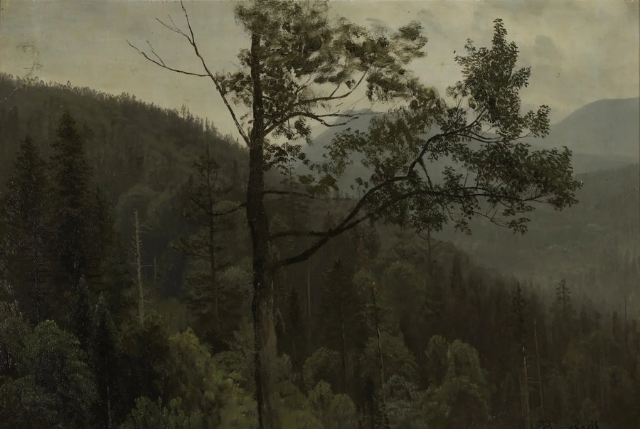 木々に覆われた山々 - アルバート・ビアシュタット

Source:
Montagnes couvertes d'arbres - Albert Bierstadt