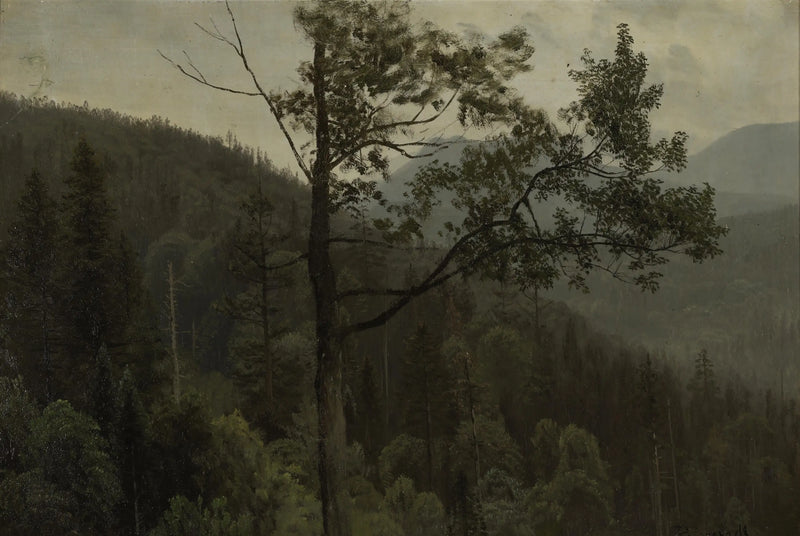 木々に覆われた山々 - アルバート・ビアシュタット

Source:
Montagnes couvertes d'arbres - Albert Bierstadt