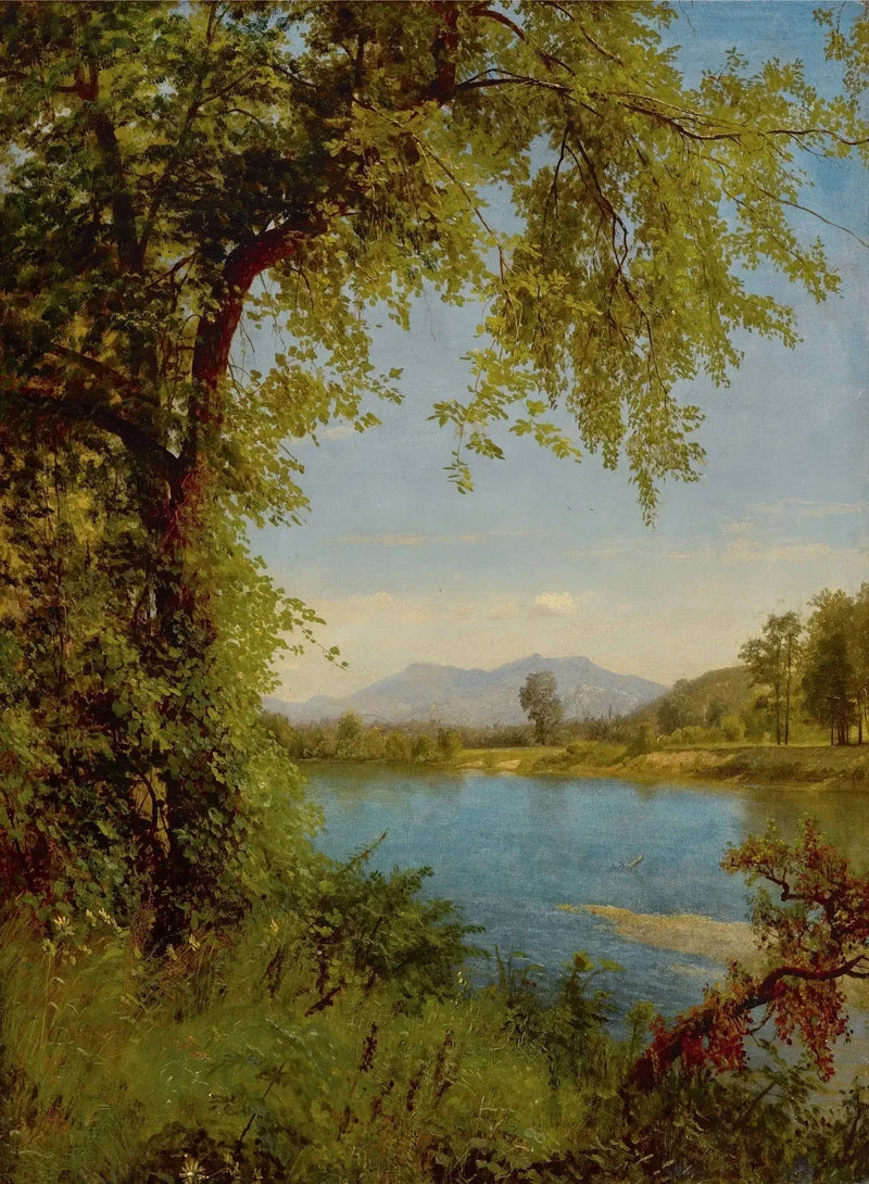 アルベール・ビアスタットによる南北ダウヴ山脈

Source:
Montagnes des Douves Sud et Nord - Albert Bierstadt