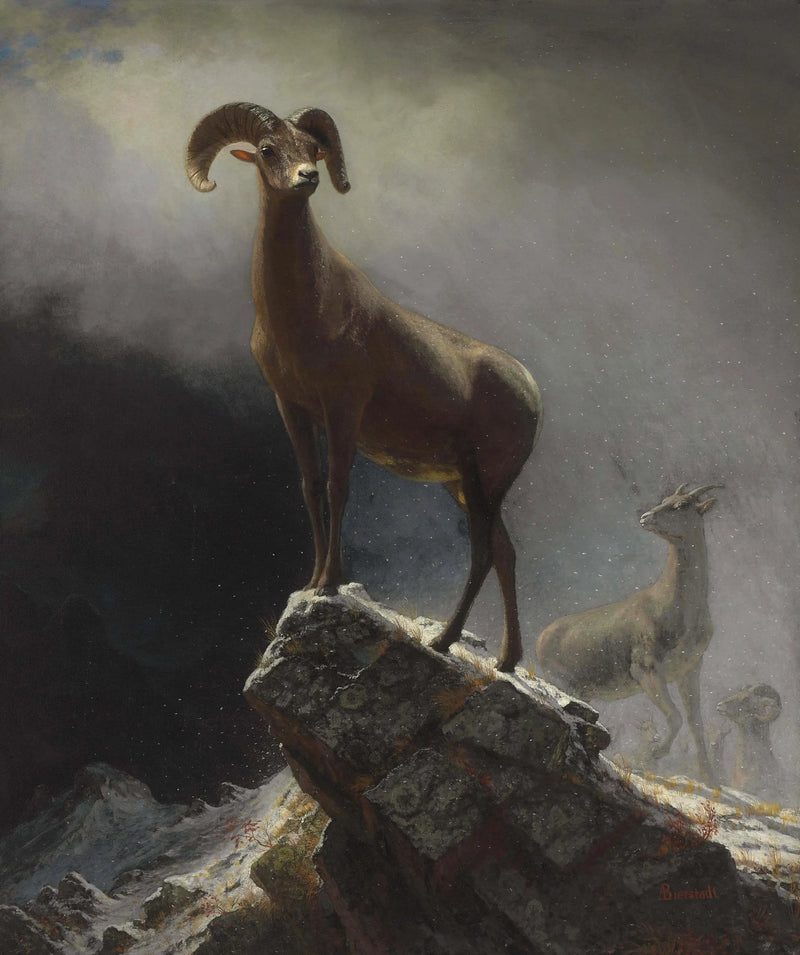 ロッキー山脈のオオジシ - アルバート・ビアシュタット

Source:
Mouflon des montagnes Rocheuses - Albert Bierstadt