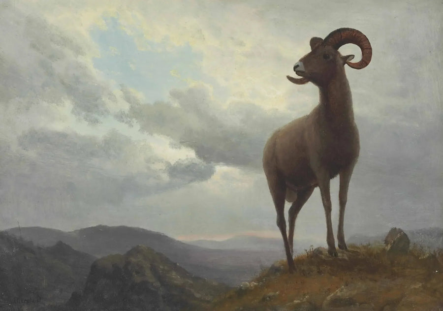 長角羊 - アルバート・ビアシュタット

Source:
Mouton à longues cornes - Albert Bierstadt