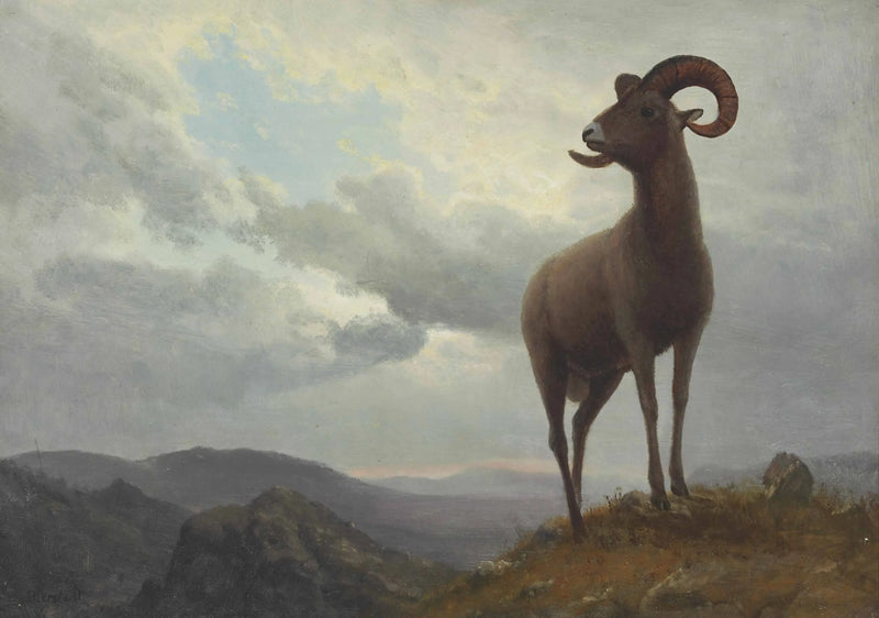 長角羊 - アルバート・ビアシュタット

Source:
Mouton à longues cornes - Albert Bierstadt