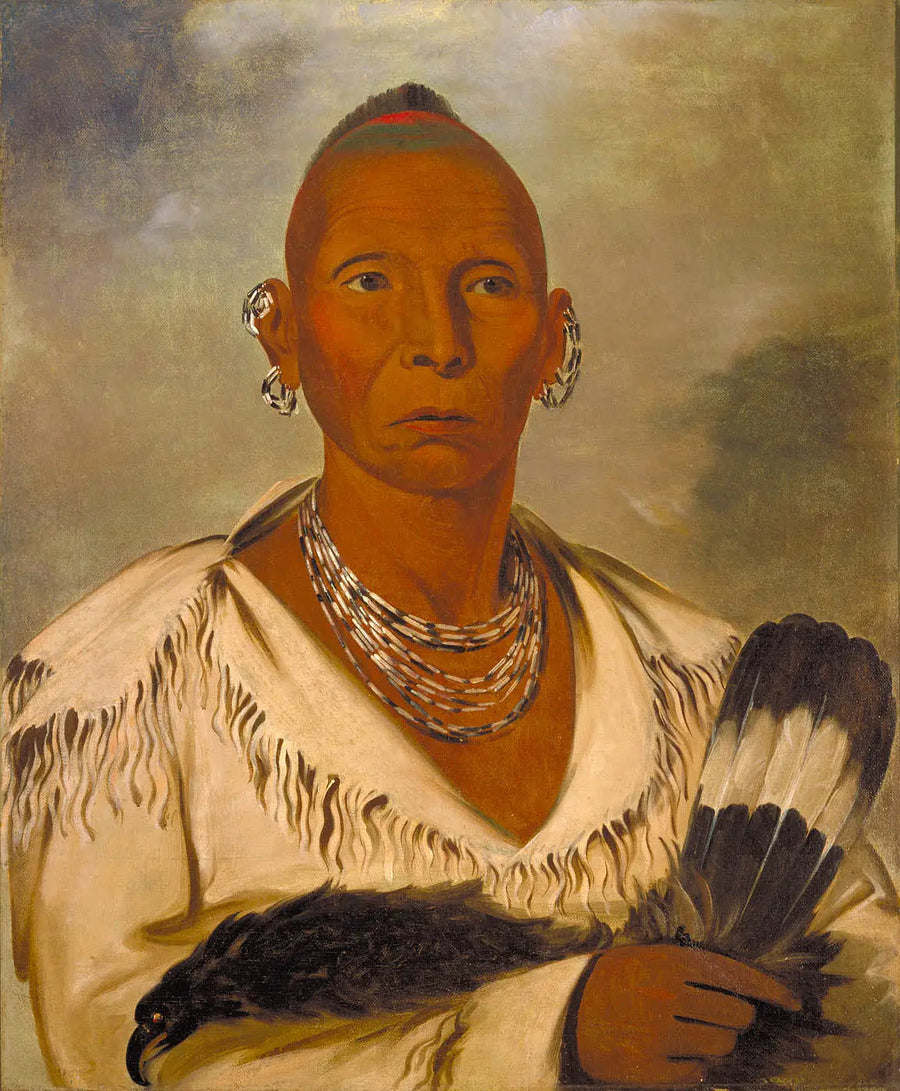 アルファ・レプロダクションの油彩絵画のレプリカ

Source:
Múk-a-tah-mish-o-káh-kaik, Black Hawk, éminent chef de sac - George Catlin
