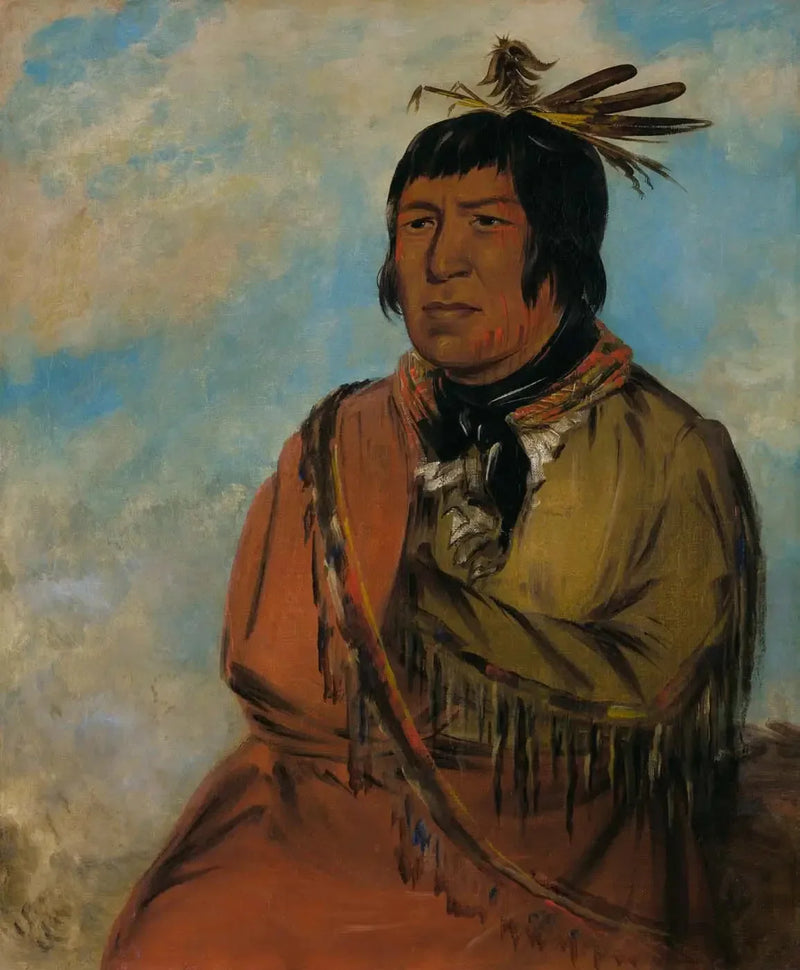 ナポワーサ、夜を旅するクマ、ジョージ・キャトリン

Source:
Na-pów-sa, Ours voyageant la nuit, un chef - George Catlin