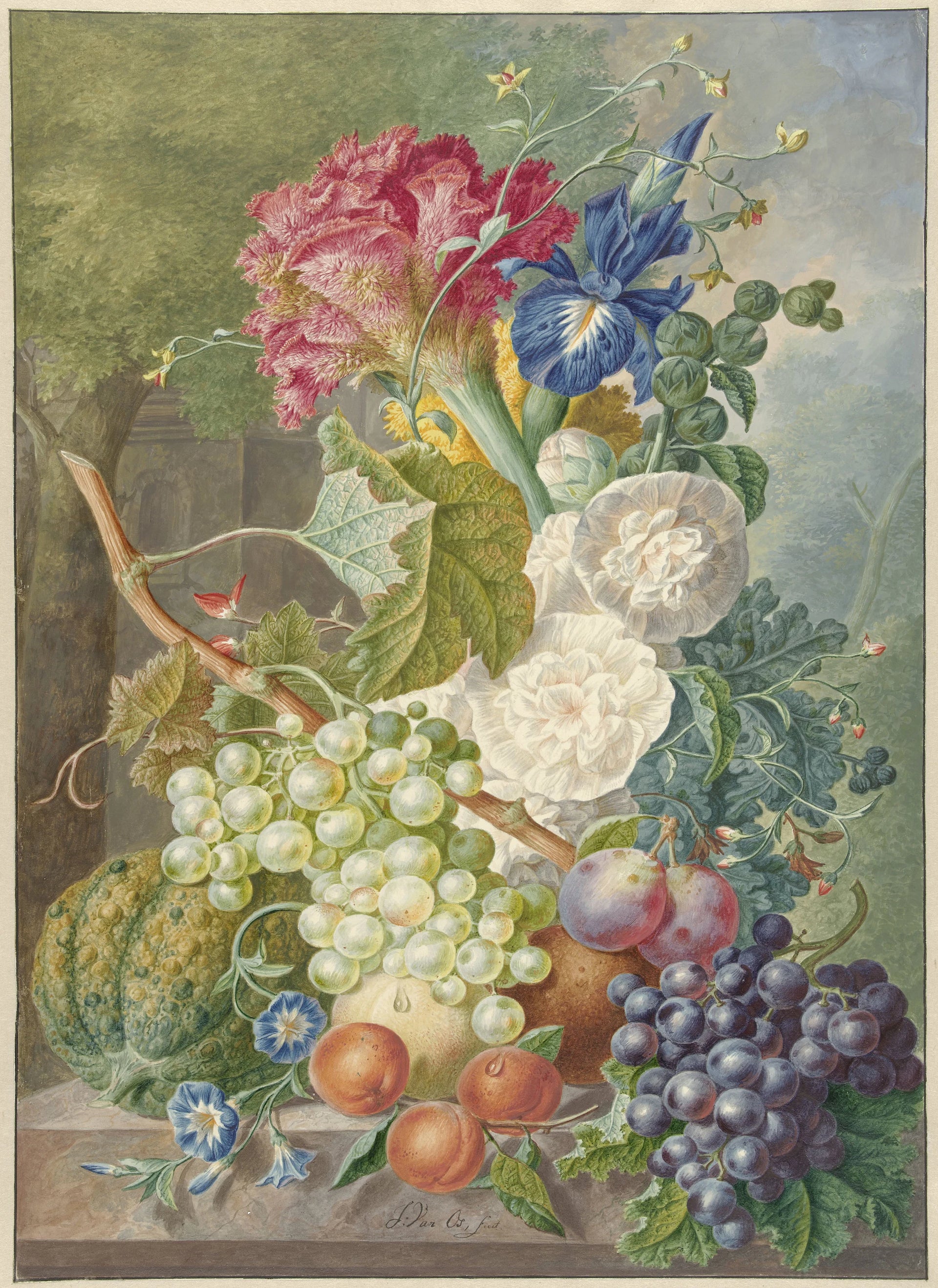 Nature morte aux fleurs et fruits - Jan van Os