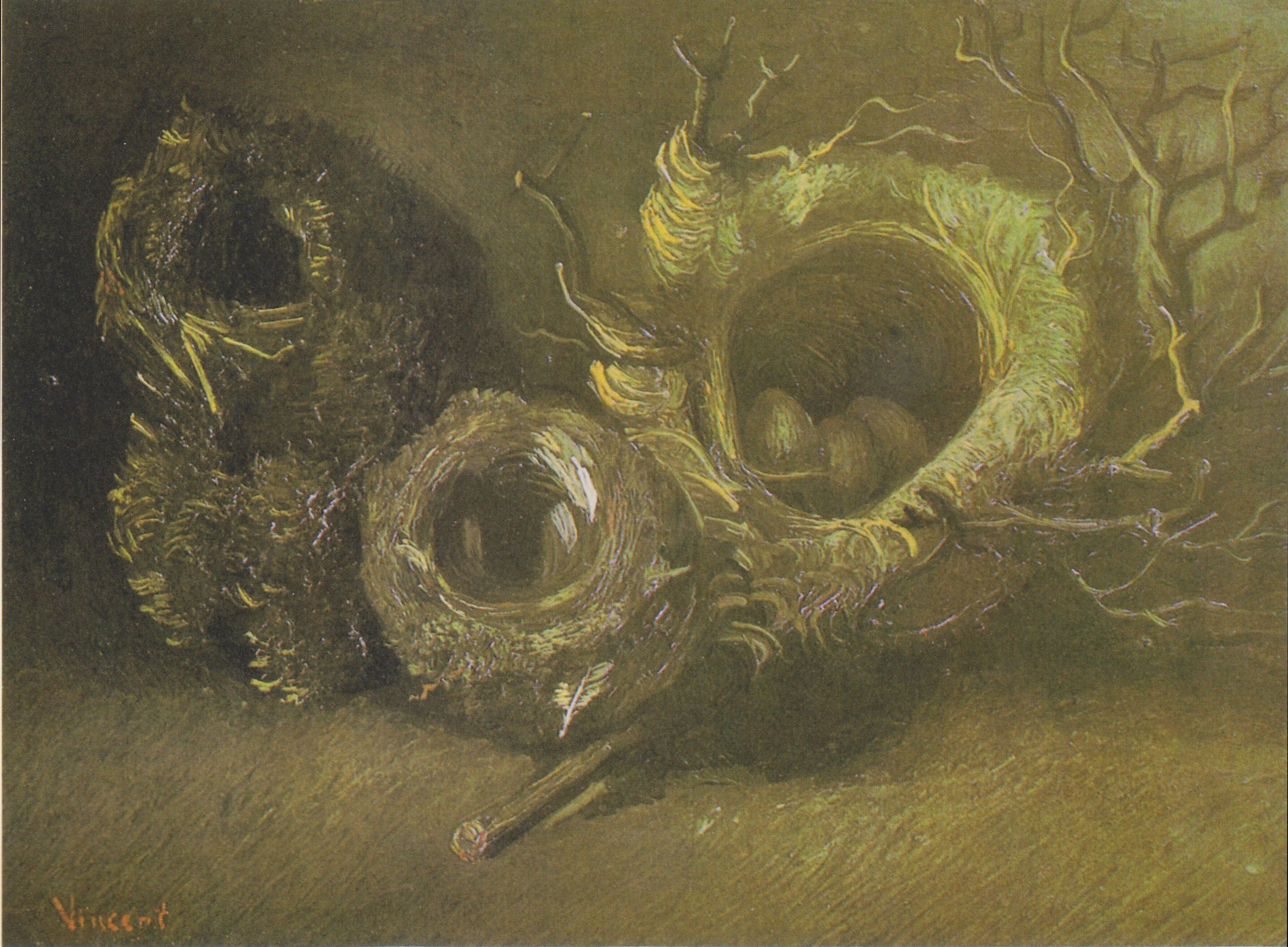 Nature morte aux trois nids d’oiseaux F112 — nids de tailles différentes et œufs sur un fond de terre par Vincent van Gogh