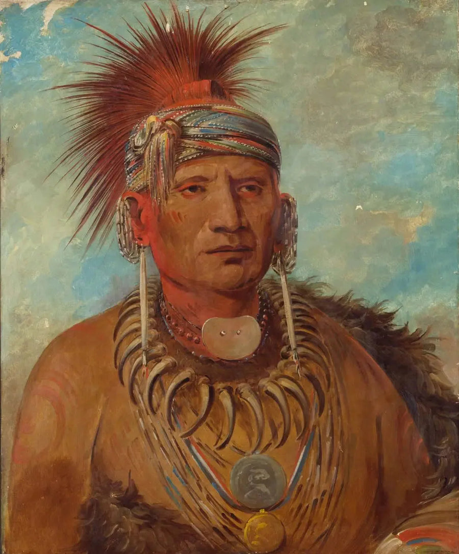 ノイ・モン・ヤ、歩く雨、戦争指導者 - ジョージ・キャトリン

Source:
Neu-mon-ya, Pluie qui marche, Chef de guerre - George Catlin