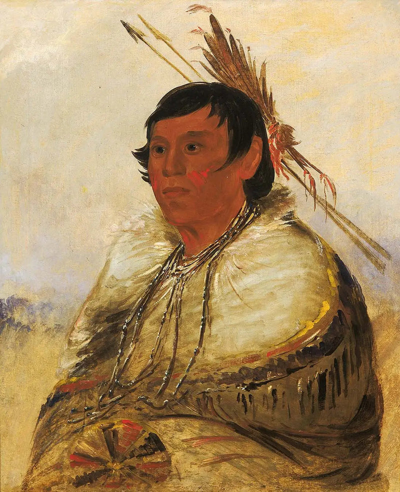 ニアコモ、フットで固定、勇敢な男 - ジョージ・キャトリン

Source:
Ni-a-có-mo, Fix With the Foot, un Brave - George Catlin
