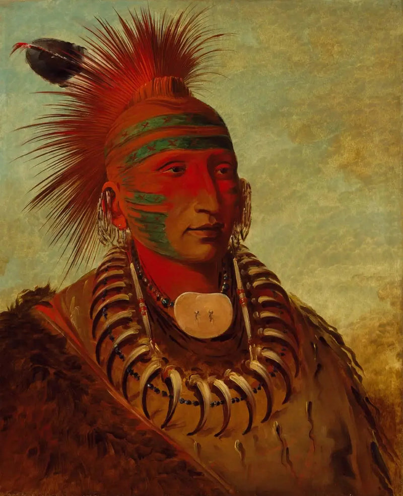 ノーホームンヤ、全く注意を払わない者 - ジョージ・キャトリン

Source:
No-ho-mun-ya, Celui qui ne prête aucune attention - George Catlin