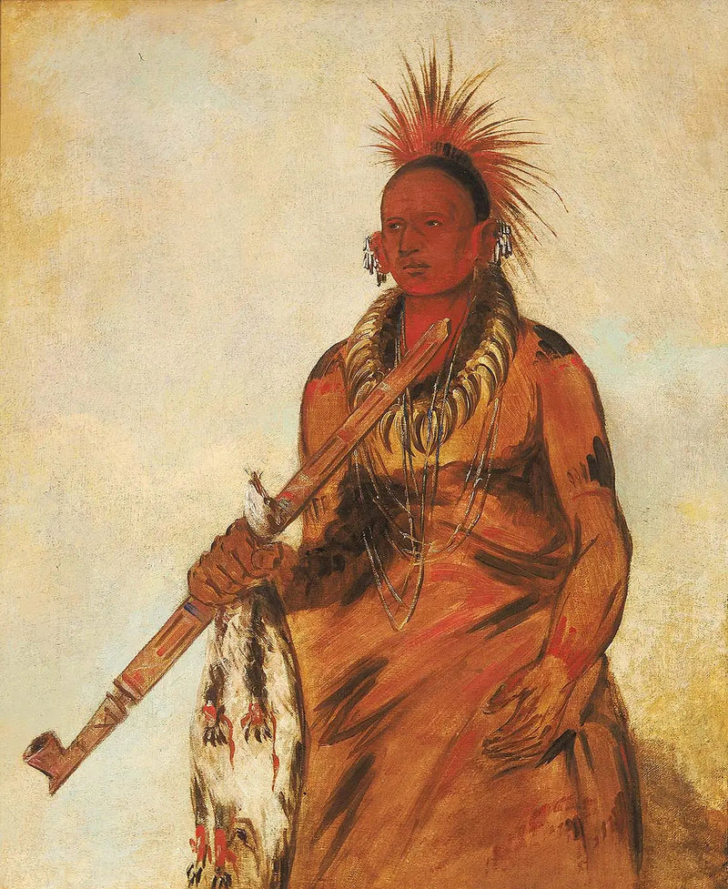 ノー・オ・ムーン、雨の中を歩く、戦士 - ジョージ・キャトリン

Source:
No-o-mún-nee, Marche sous la pluie, un guerrier - George Catlin