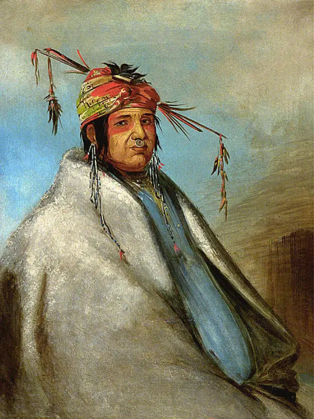 非正多角形、シェフ - ジョージ・キャトリン

Source:
Non-on-dá-gon, un chef - George Catlin