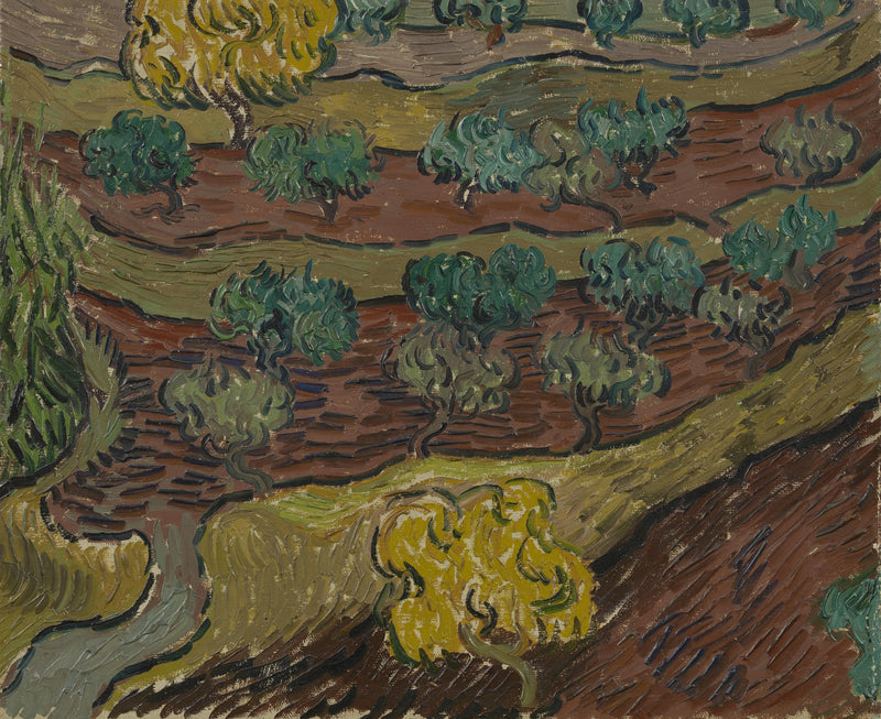 丘の上のオリーブの木 - Vincent van Gogh