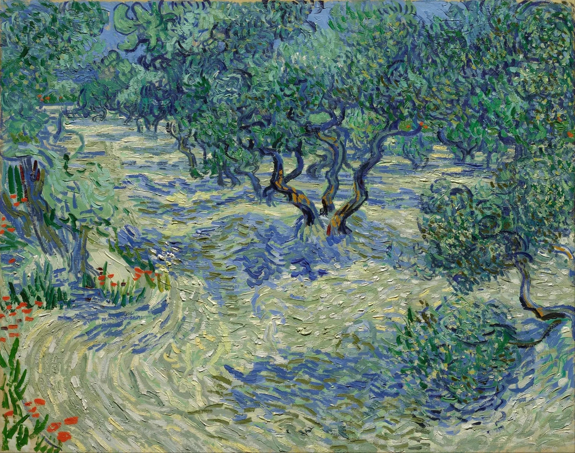 Oliviers F715 de Vincent van Gogh – Nelson-Atkins Museum of Art