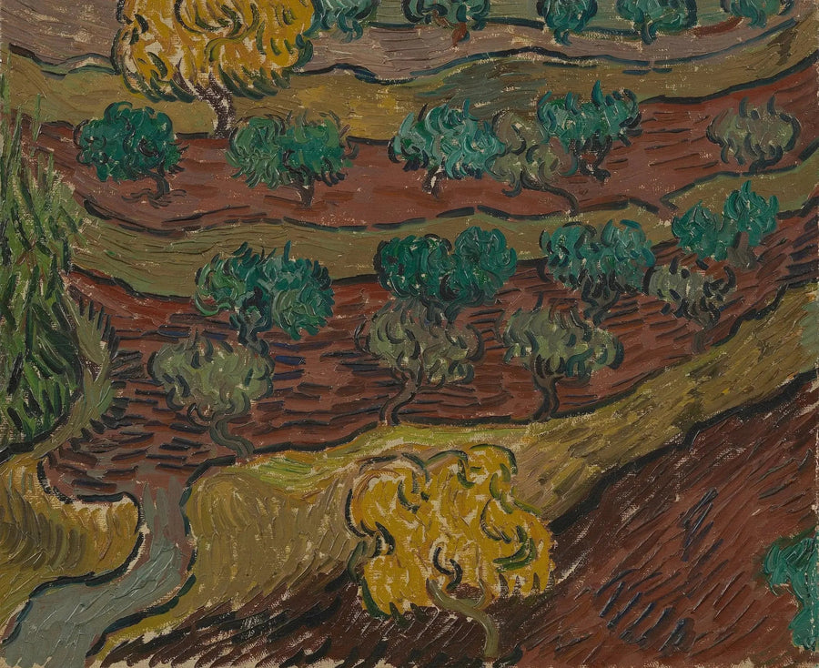 丘の上のオリーブの木 - Vincent van Gogh