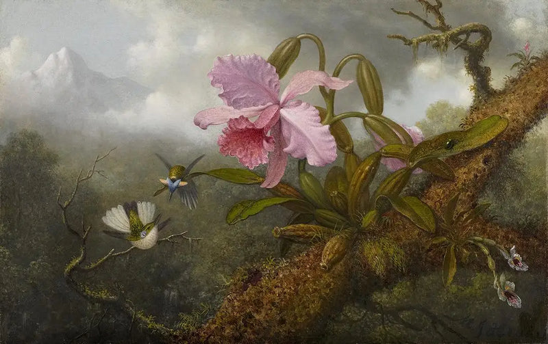 オーキッド・カトレア、ハチドリ2羽と甲虫 - マーティン・ジョンソン・ヒード

Source:
Orchidée Cattleya, deux colibris et un scarabée - Martin Johnson Heade