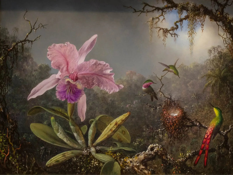 オーキッド・キャトレアと三羽のハチドリ - マーティン・ジョンソン・ヒード

Source:
Orchidée Cattleya et trois colibris - Martin Johnson Heade