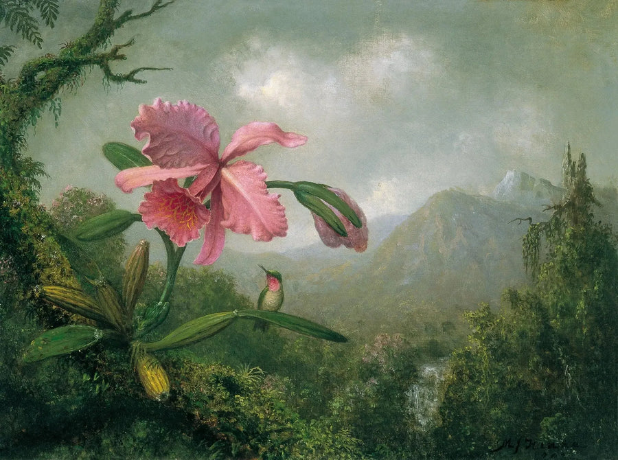 山の滝のそばの蘭とハチドリ - マーティン・ジョンソン・ヒード

Source:
Orchidée et colibri près d'une cascade de montagne - Martin Johnson Heade