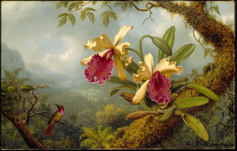 蘭とハチドリ - マーティン・ジョンソン・ヒード

Source:
Orchidées et colibri - Martin Johnson Heade
