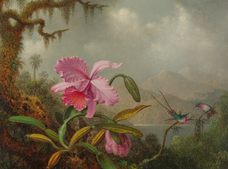 蘭とハチドリ - マーティン・ジョンソン・ヒード

Source:
Orchidées et colibris - Martin Johnson Heade