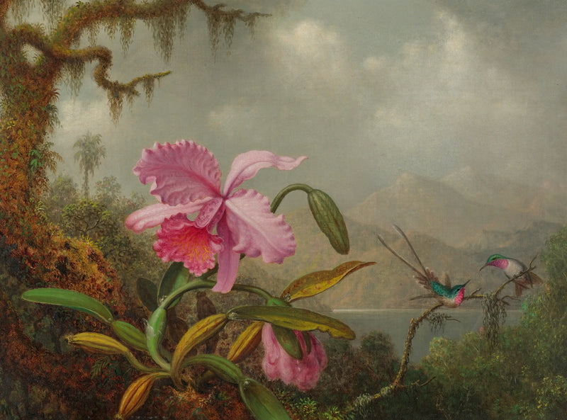 蘭とハチドリ - マーティン・ジョンソン・ヒード

Source:
Orchidées et colibris - Martin Johnson Heade