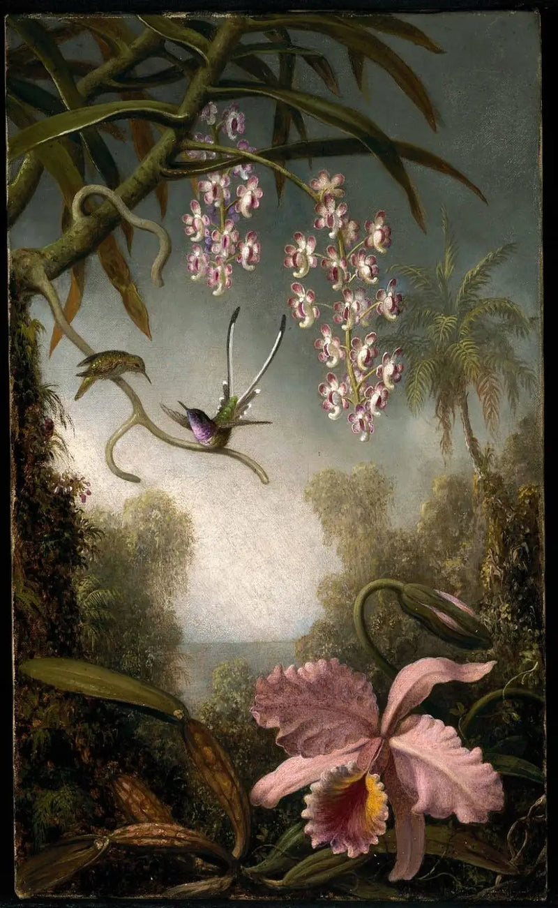 ハナランとスプレーされたハナランとコバチドリ - マーティン・ジョンソン・ヒード

Source:
Orchidées et orchidées en spray avec colibri - Martin Johnson Heade