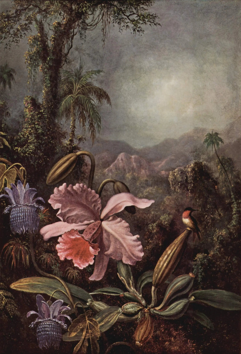 蘭、パッシフロールとハチドリ - マーティン・ジョンソン・ヒード

Source:
Orchidées, passiflores et colibris - Martin Johnson Heade