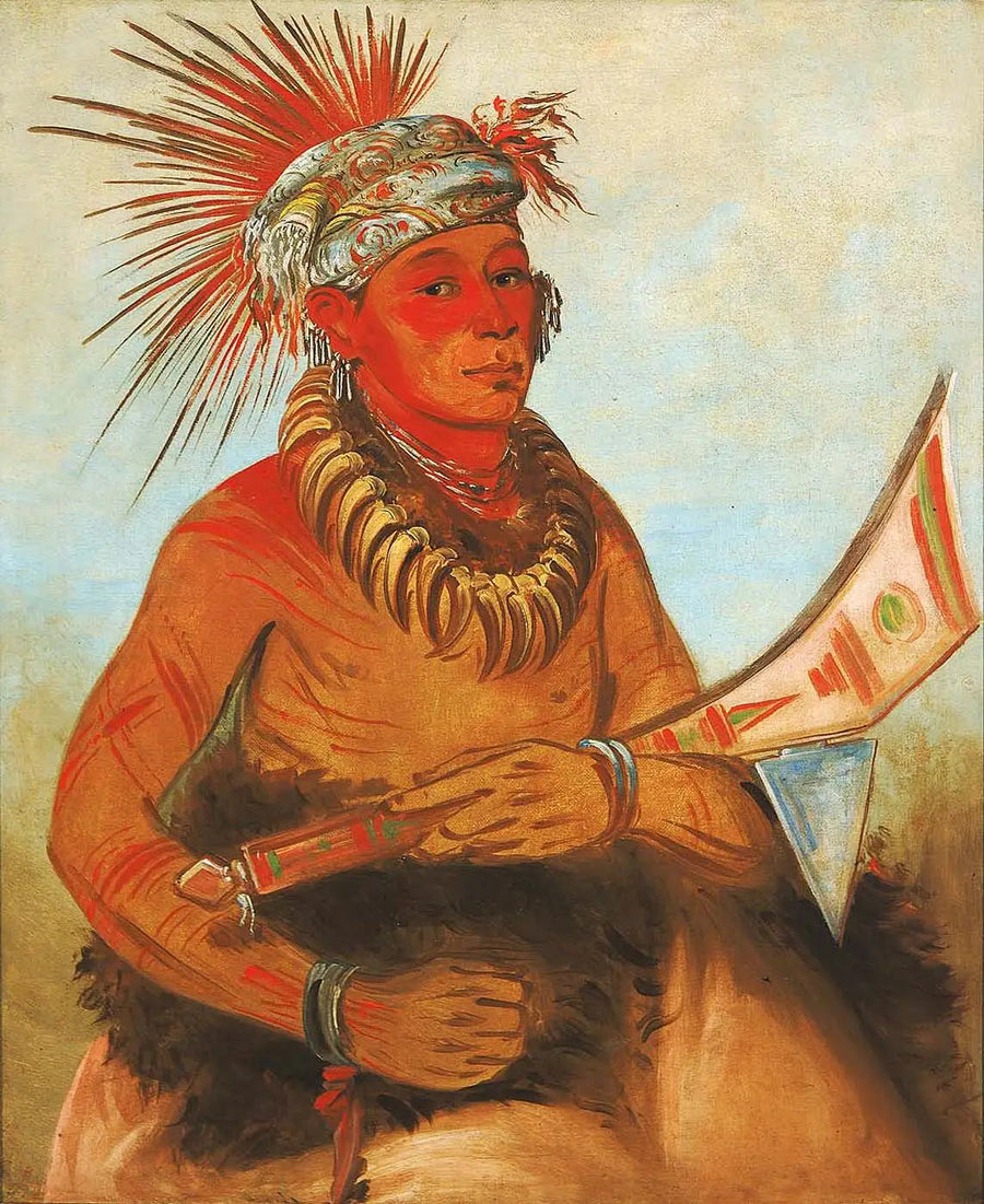 パタクーチー、シューティング・シダー、勇敢な男 - ジョージ・キャトリン

Source:
Pah-ta-cóo-chee, Shooting Cedar, un courageux - George Catlin