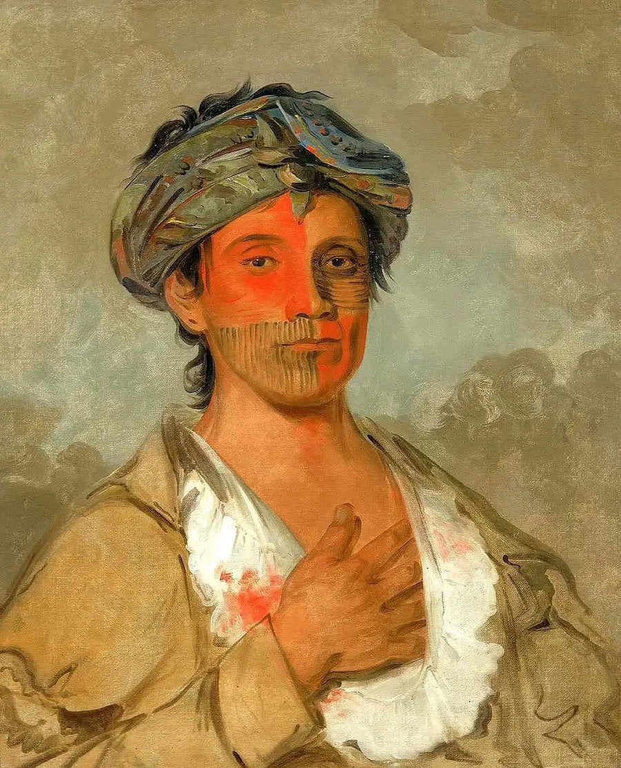 フランス語のタイトルを日本語に翻訳してください。

Source:
Pah-te-cóo-saw, homme hétéro, semi-civilisé - George Catlin