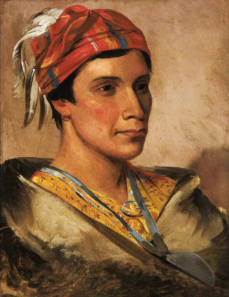 痛み、部族のリーダー - ジョージ・キャトリン

Source:
Pain, chef de la tribu - George Catlin