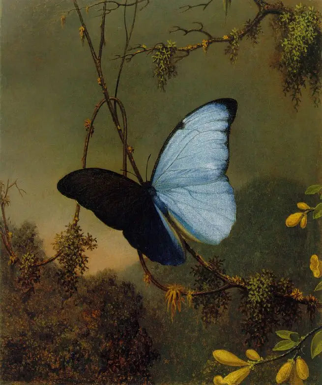 蝶 モルフォブルー - マーティン・ジョンソン・ヒード

Source:
Papillon Morpho bleu - Martin Johnson Heade