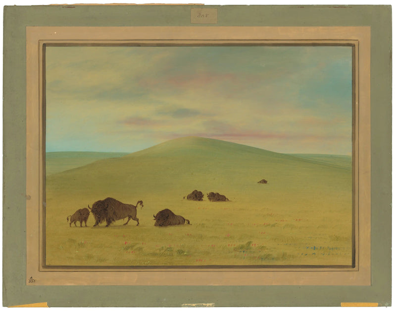 アメリカの牧草地 - プラッテの草原 - ジョージ・キャトリン

Source:
Pâturage américain - Prairies de la Platte - George Catlin