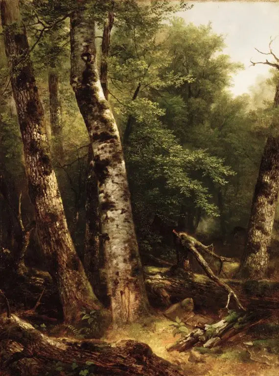 風景（白樺とオークの木） - アッシャー・ブラウン・デュランド

Source:
Paysage (bouleaux et chênes) - Asher Brown Durand