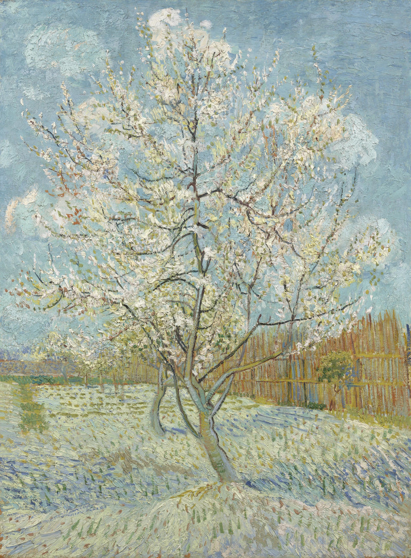 ピーチの花 - ヴィンセント・ヴァン・ゴッホ