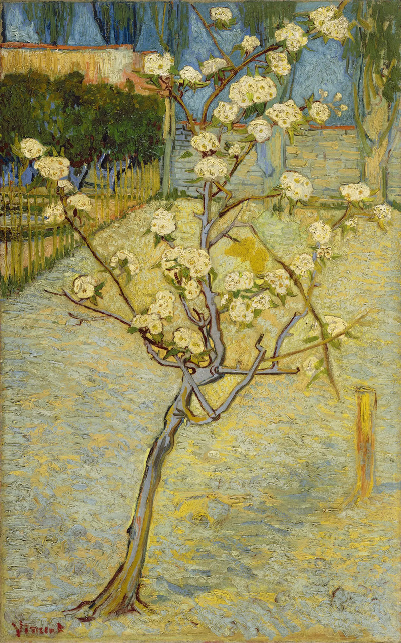 花咲く小さな梨の木 - Vincent van Gogh