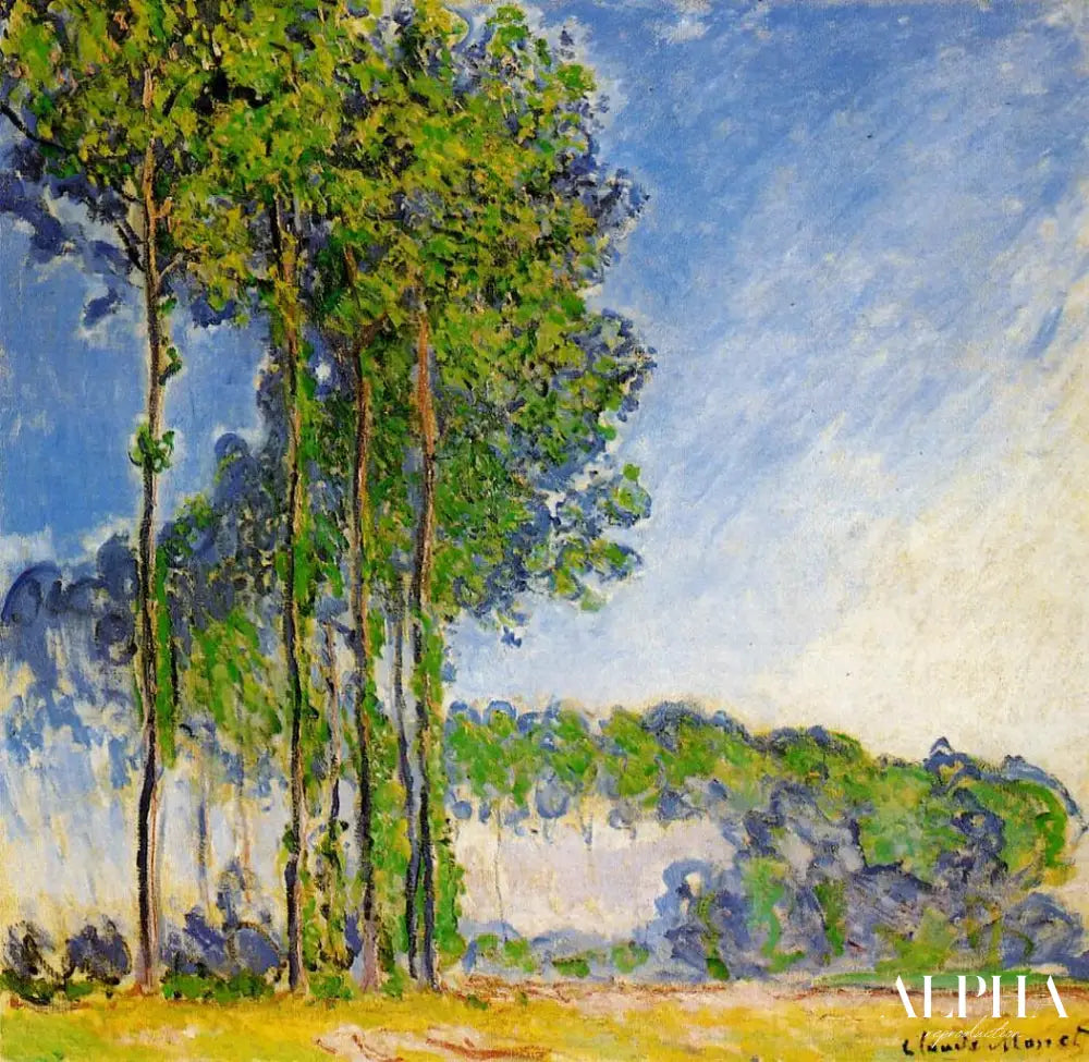 Peupliers, vus du marais - Claude Monet - Reproductions de tableaux et peintures haut de gamme