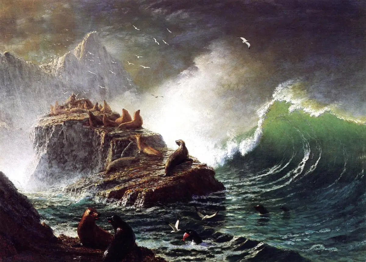 Phoques sur les rochers îles Farallon - Albert Bierstadt - Alpha Reproduction