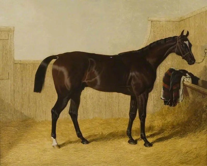ピエール・ド・トゥーシュ - ジョン・フレデリック・ヘリング Sr.  

Source:
Pierre de touche' - John Frederick Herring, Sr.