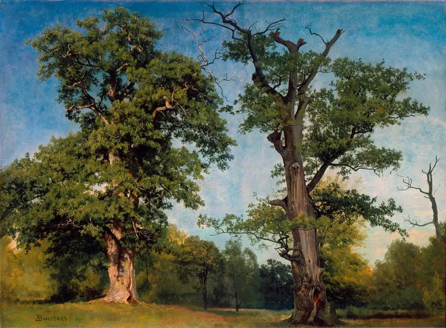 木材の先駆者たち、カリフォルニア - アルバート・ビアシュタット

Source:
Pionniers des bois, Californie - Albert Bierstadt