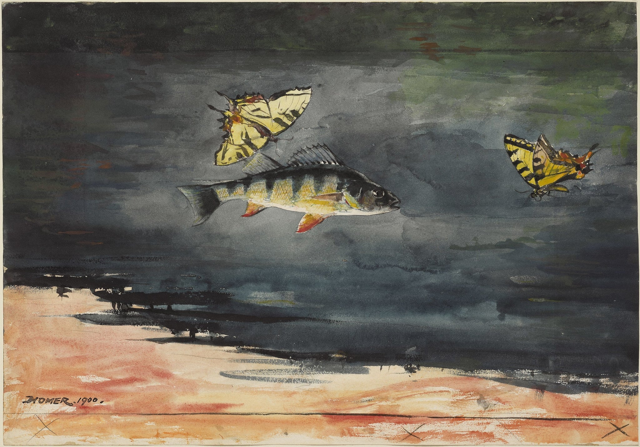Poissons et papillons - Winslow Homer image 1 tableau peint à l’huile sur toile