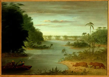 ポン・ド・パルミエールと虎の射撃 - ジョージ・キャトリン

Source:
Pont de Palmiers et Tir au Tigre - George Catlin